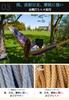 Vivere Hammock Double Size Tropical [For Indoor/Outdoor Use]