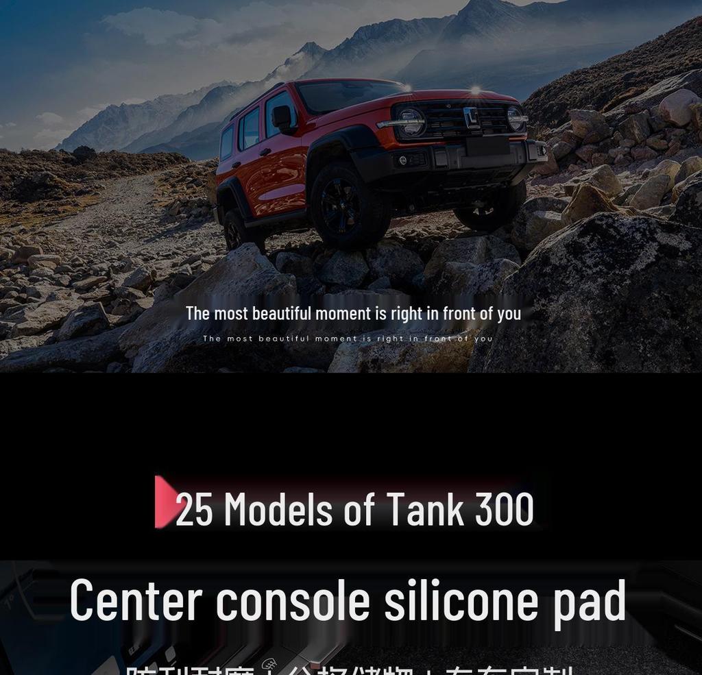 Multi-Function Silicone Storage Mat for 25 Models Tank 300 Center Console