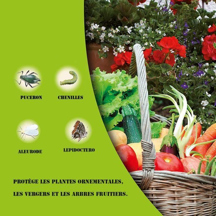 DECIS PROTECH HOME BAYER 250 ML Vielzweck-Insektizid KOSTENLOSE LIEFERUNG für Zierpflanzen, Obstkulturen