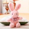 Cute Sweater Rabbit Doll Dress Rabbit Plush Toy Scarf Rabbit Claw Doll Wedding Gift