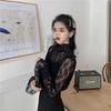 Black Long Sleeve Lace High Neck Mesh Top - Sexy Hollow-Out Fairy Chiffon Shirt for Women
