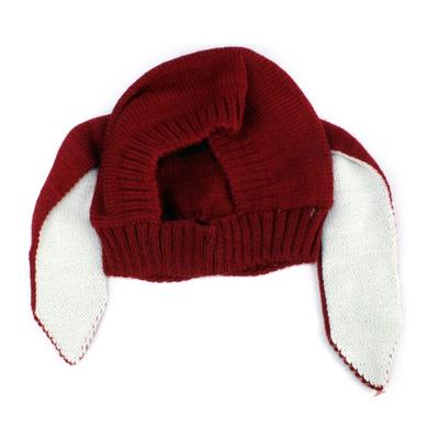 Ropa y calzado – Gorras para perros