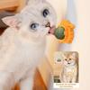 Wall Catnip Ball Toy Rotatable Catnip Ball Lick Treats Catnip Toy Sheep Shape Toy with Dust-Proof Cover for Cat Oral Health