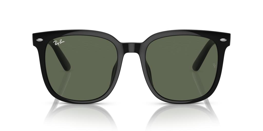 Sunglasses 0RB4401D BLACK 55 Ray-Ban