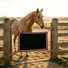 Barn Opening Guard Panel for Horse Stalls, Fabric Divider with Four Corner Tie and Metal Hardware for Daily Stable Coverage Use