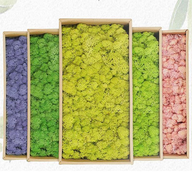 20g Artificial Green Moss Plants Eternal Life Grass Mini Landscape Fake Grass DIY Crafts for Home Living Room Garden Decor