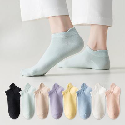 Calze, collant e calzetteria – Calzini