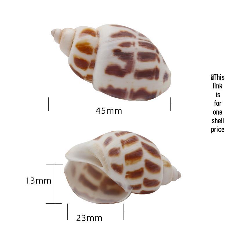 Натуральная большая раковина рака-отшельника - Раковина с розовым устьем для замены питомца или морского декора