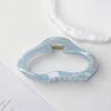 Korean Versatile Shiny Claw Clip: High-End Hair Accessory for Women