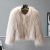 Imitation Fox Fur Imitation Leather Jacket Women's New Autumn and Winter Short Slim Fashion Light Fluff