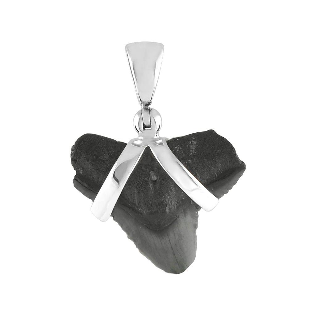 Starborn Mako-Haitzahn Fossil Anhänger Sterling Silber 925 Größe S