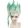 HAIRJOY Anime Dr.Stone Ishigami Senkuu Cosplay Wig Short Green Mix Synthetic  Hair