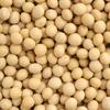 Tsuru Musume Daizu (2.8 points upper grade) - Particularly large sweet soybeans from Hokkaido domestically produced. (1kg)