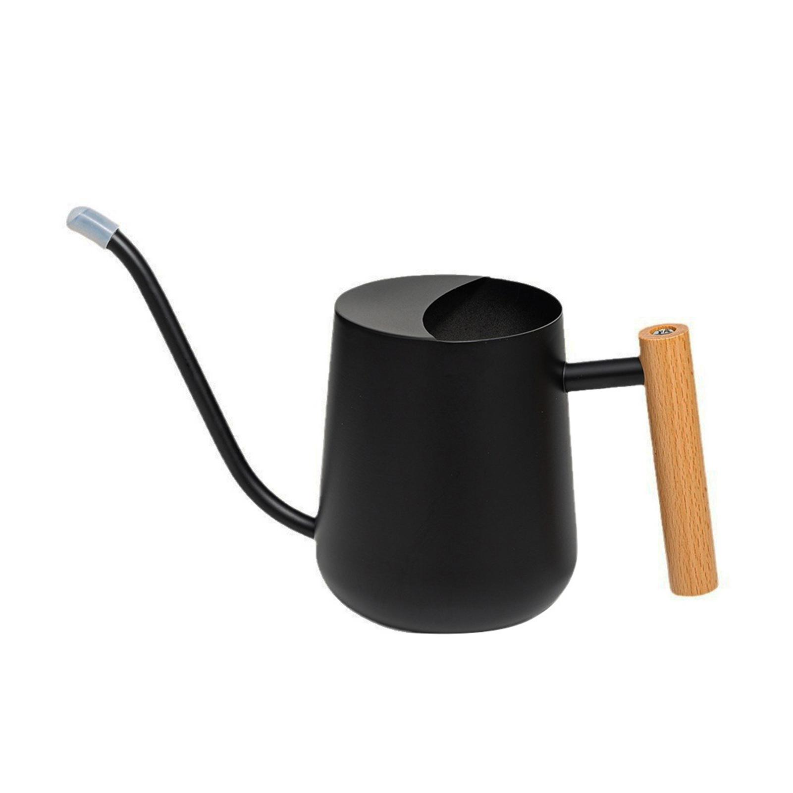 New Portable Indoor Plant Watering Pot Indoor Flower Watering Pot, Stainless Steel Watering Pot with Long Spout, Wooden Handle