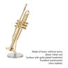 Desktop Decoration Bass Musical Instrument Model Collection Trumpet Ornaments Craft
