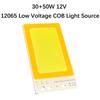 120x65mm 2in1 Dc12v Cob Led Chip Lamp 80w 50 Watt Two Color Board Light Source Bicolor Dual-Color Module High Power Lights Beads