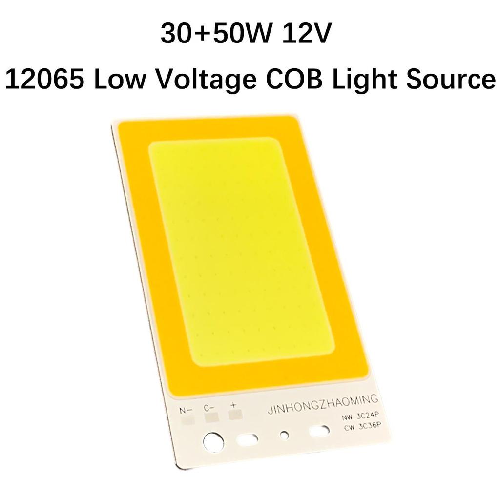 120x65mm 2in1 Dc12v Cob Led Chip Lamp 80w 50 Watt Two Color Board Light Source Bicolor Dual-Color Module High Power Lights Beads