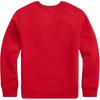 Polo Ralph Lauren Bär Skimuster Rundhals Fleece Sweatshirt Damen sweatshirt 211796963-001