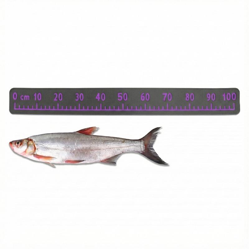 Dark Gray Theme 100cm EVA Foam Fish Measure Ruler Adhesive Tape for Fishing Boat Kayak Cooler Box Angling Ruler Tool Accessory 7