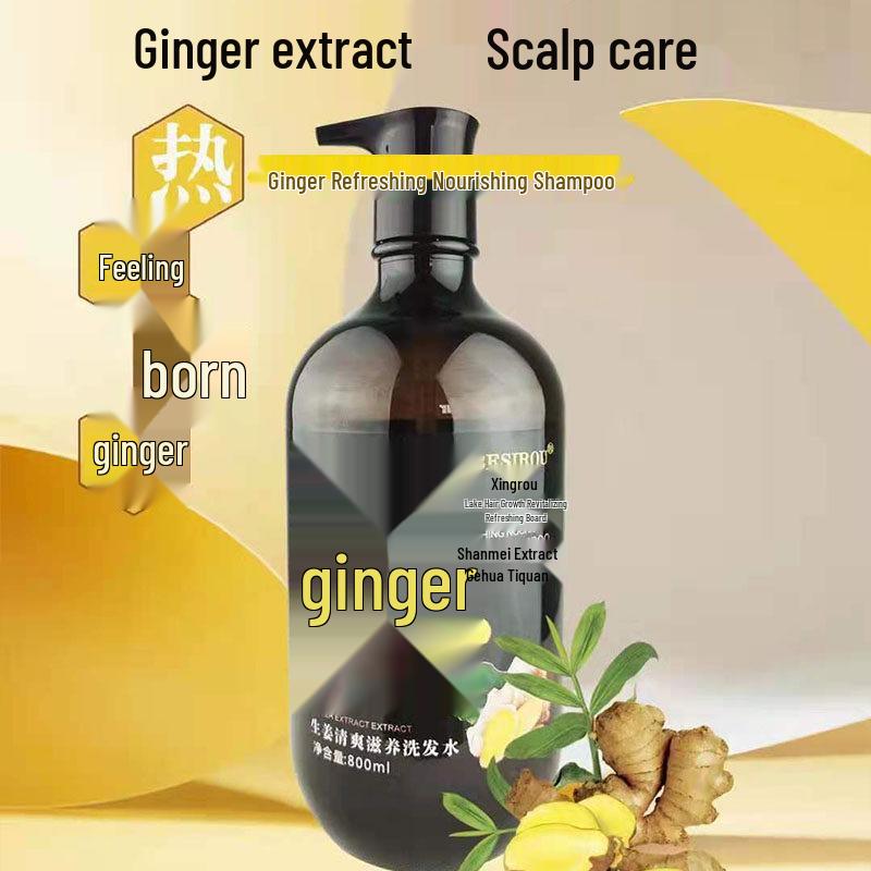 Top-Rated Ginger Refreshing & Nourishing Shampoo for Anti-Dandruff, Oil Control, Volumizing, Anti-Hair Loss & Breakage