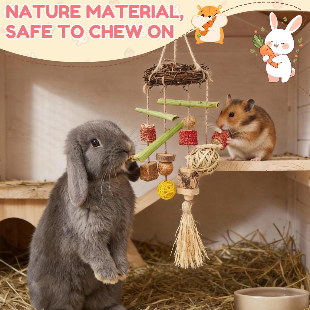 2Pcs Rabbit Chew Toy Hanging Small Pet Chew Toy Pet Cage Accessory Pet Supplies for Guinea Pig Chinchilla Hamster Teeth Grinding