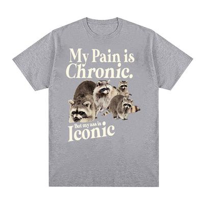 Funny Raccoon Cute Meme T-shirt Harajuku 90s Y2k Clothing Graphic Tshirts Men Women High Quality Cotton Oversized Sleeve T Shirt