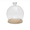 Glass Display Case, Dustproof Organizer, Transparent Showcase for Figures, Flowers Wood Spherical