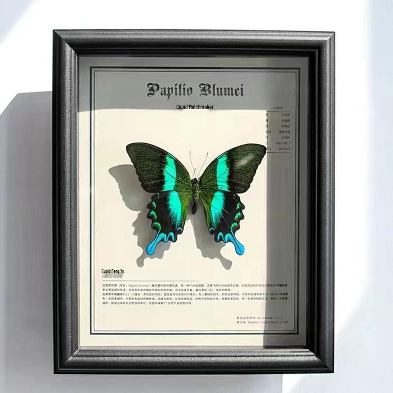 European & American Style Retro Real Butterfly Specimen Display: Glass Photo Frame for Tabletop Decor with Small Pets, Cats, & Reptiles