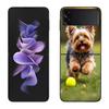 Yorkshire Terrier Dog Phone Case For Samsung Z Flip 7 6 5G Galaxy Z Flip 5 4 3 Black Hard Cell Cover Luxury PC Shell Coque