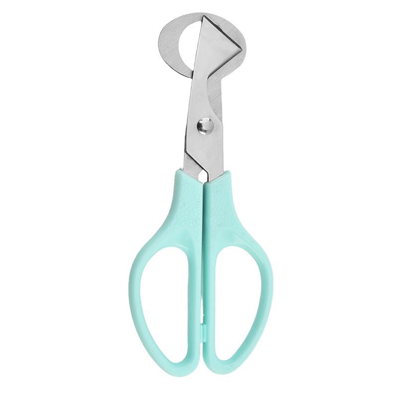 Stainless Steel Quail Egg Opener Scissors - Eggshell Cutter and Kitchen Shears