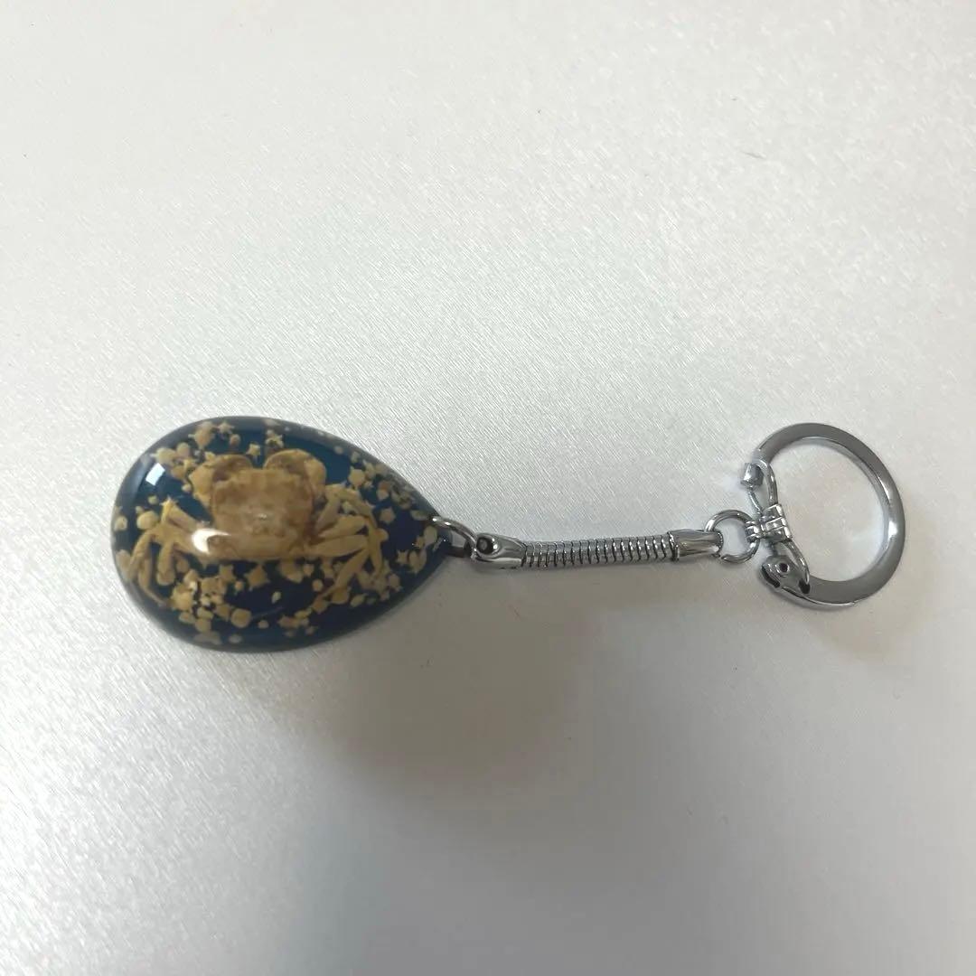 Showa Retro Star Sand Crab Key Holder Sea Motif Vintage Unused