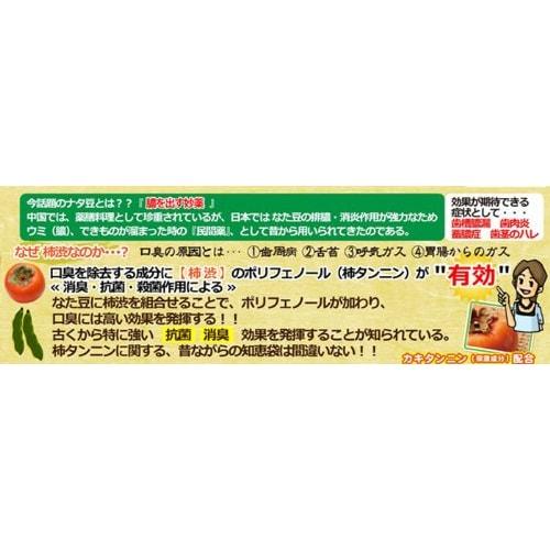 Natamame Refreshing Persimmon Tannin Toothpaste 120g