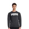 PUMA Logo Alphabet Round Neck Black Men's 855227-01