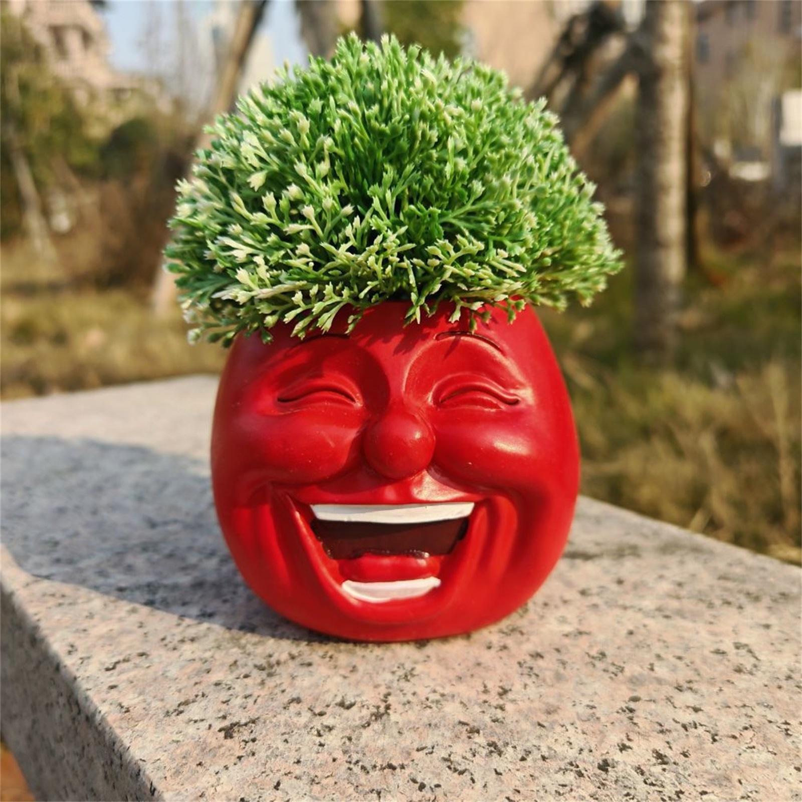 

Creative Smile Vegetable Flowerpot Ornament Resin Flowerpot Desktop Home Resin Flowerpot Decoration One Size червоний