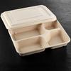 Biodegradable 4-Compartment Disposable Food Containers