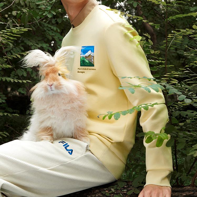 FILA Basic Simple Letter Casual Knit Long Sleeve Pullover Sweatshirt Men sweatshirt Stone-Yellow F11M248212F-LK