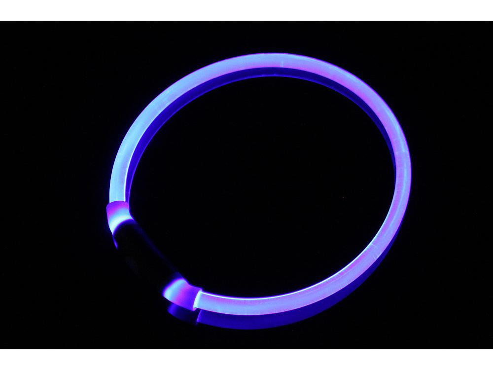 Helle Transparente PU Leuchtendes Hundehalsband für die Nacht