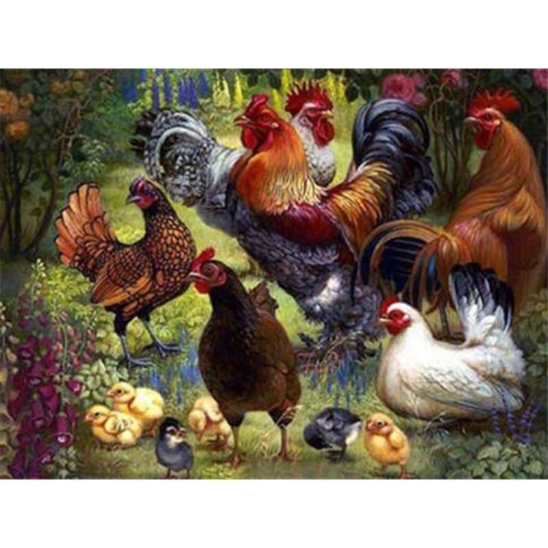 

DIY алмазная живопись курица мозаика Алмазная вышивка полная квадратная круглая дрель петух изображение курицы горный хрусталь подарок ручной работы Full Round 40x50CM