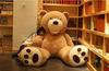 AMIRA TOYS Large, Extra-Large, Giant Teddy Bear, Cute Bear, Stuffed Bear, Bear Pillow, Fluffy Body Pillow, Gift, Interior Decor, Large Size (Brown,