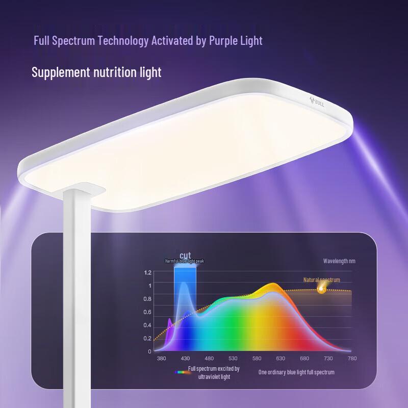 BULL Eye-Protection Full Spectrum Children's Study Floor Lamp