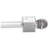 Wireless Microphone Bluetooth Recording Handheld Portable for Party Wedding Meeting