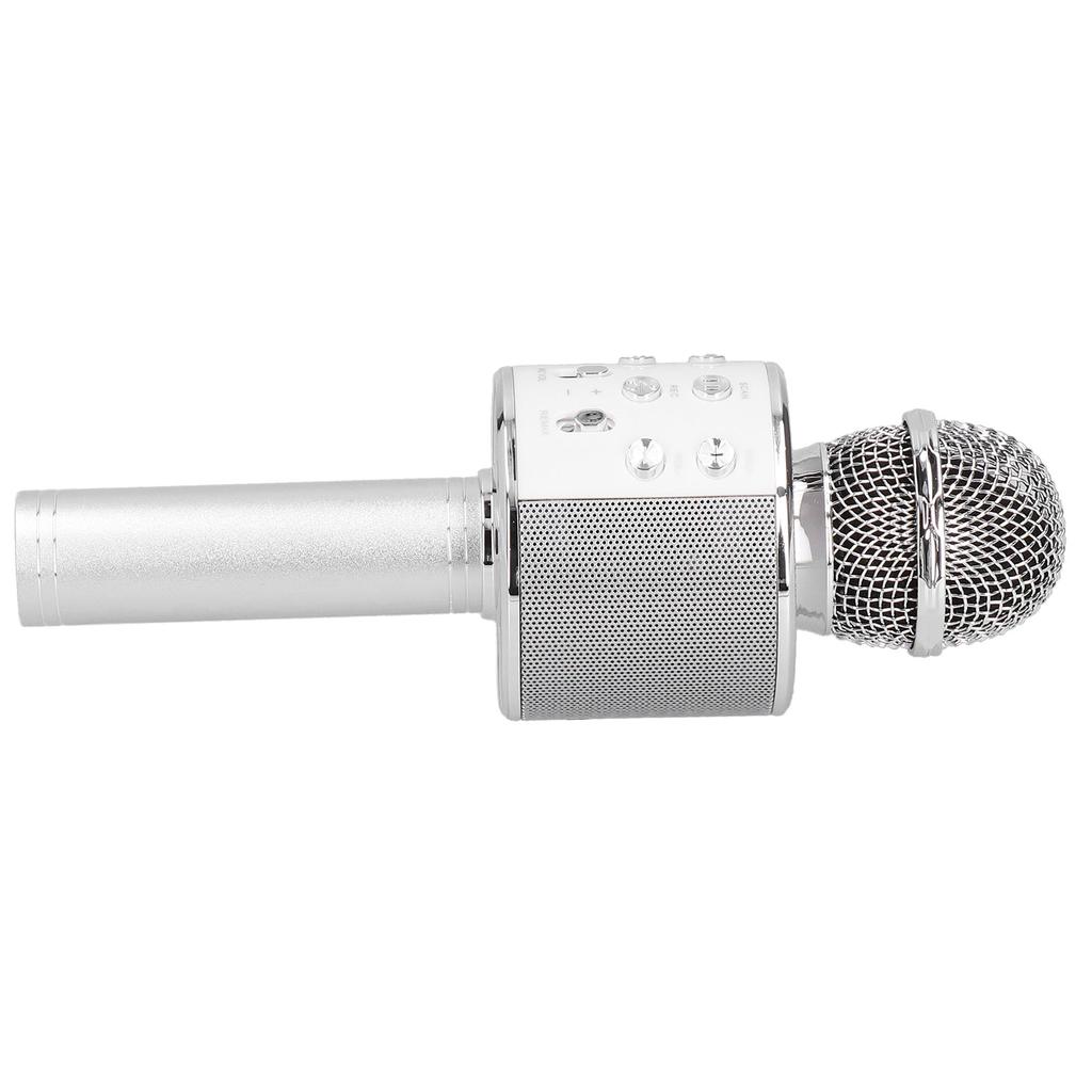 Wireless Microphone Bluetooth Recording Handheld Portable for Party Wedding Meeting