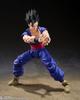 TAMASHII NATIONS S.H.Figuarts Dragon Ball Super Super Hero Ultimate Gohan SUPER HERO (Rerelease Edition) Approximately 140mm PVC & ABS Paint