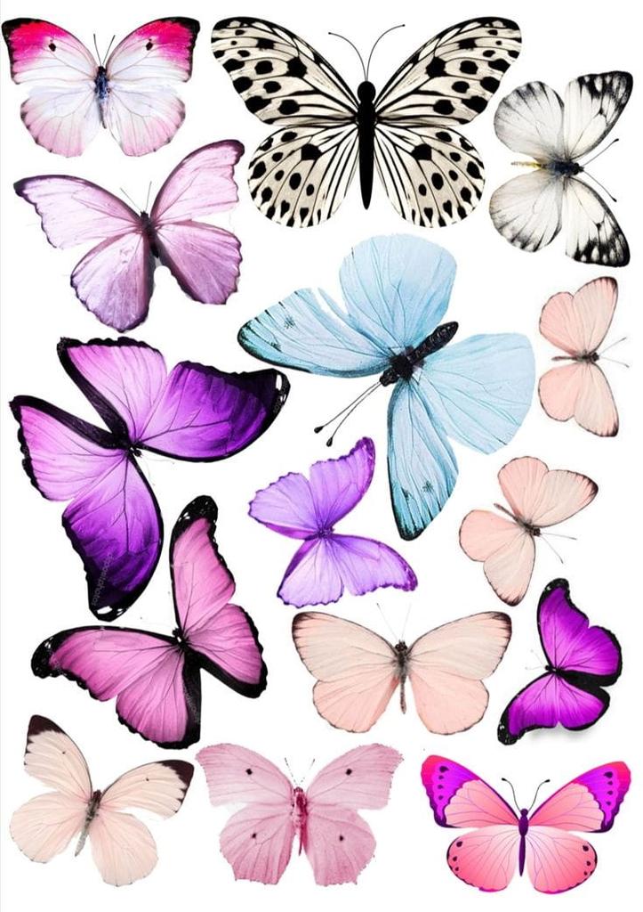 Ostia per Torta Farfalle Farfalla Mix Wz4
