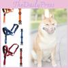 Perros – Collares y correas