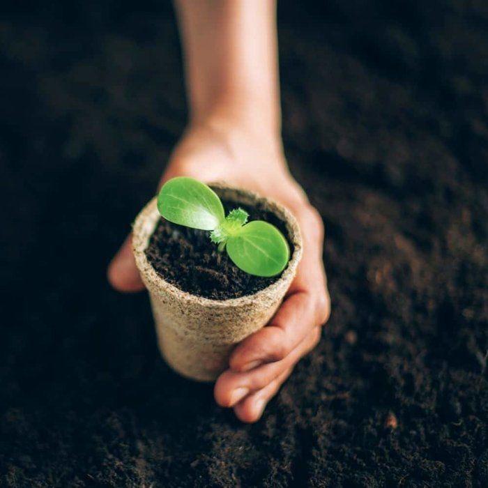 Pots de fleurs compostables 8x8 cm - Godets de culture biodégradables pour semis