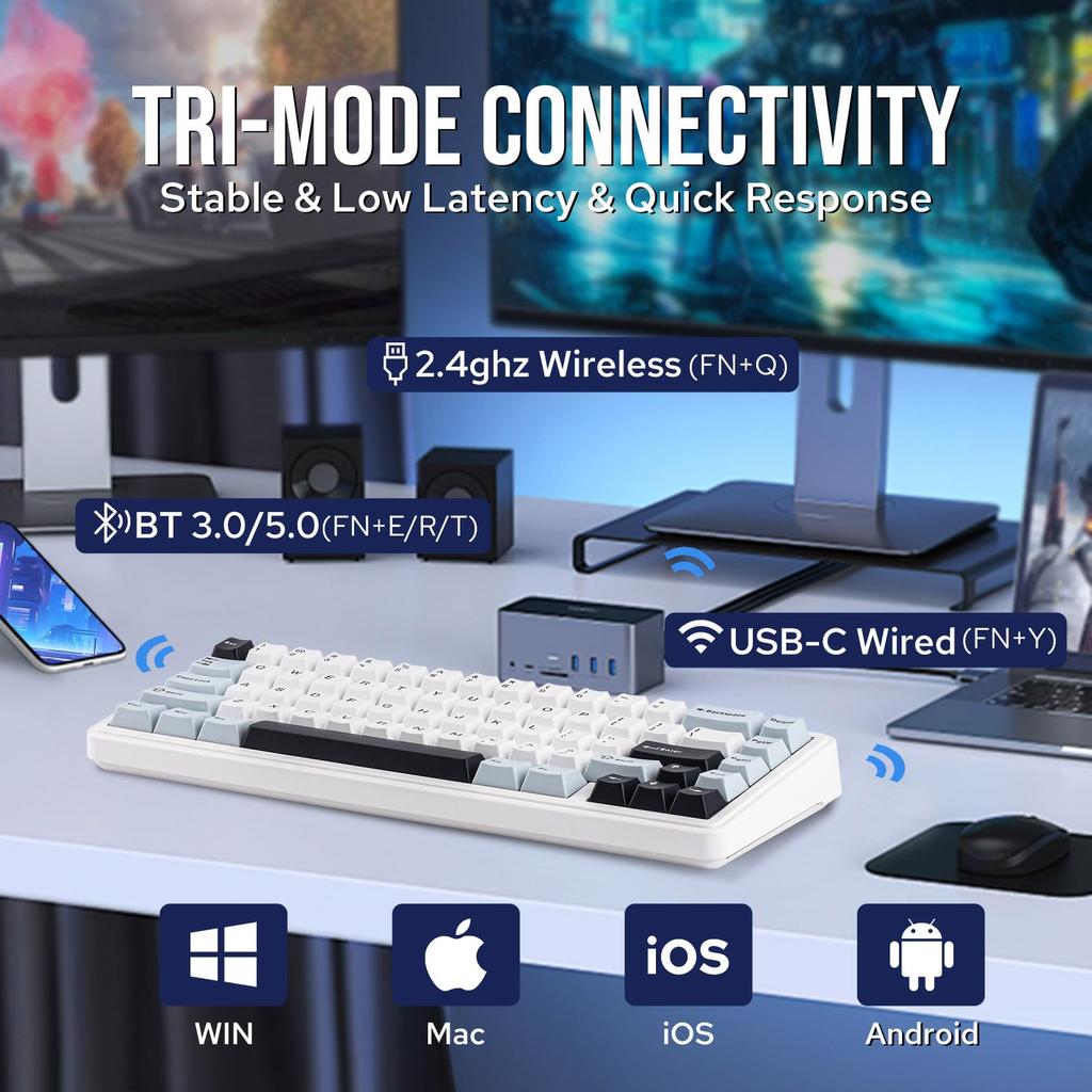 EPOMAKER x AULA F65 Wireless Mechanical Gasket Custom Gaming RGB Linear Technical Standards Certification Reaper 65% Keyboard, Hot-Swappable Keyboard,