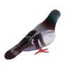 1/2 Stück Geschenk Schreibtischornamente Fotografie Requisiten Imitation Tier Taubenmodell Simulation Graue Taube Künstliche Vögel