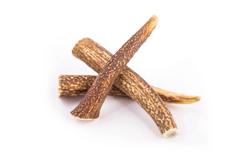 Deer Antler Chew Toy R-Line 4DOGS Size XXL Hard