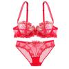 European and American Sexy Lingerie Transparent Mesh Embroidered Bra Set